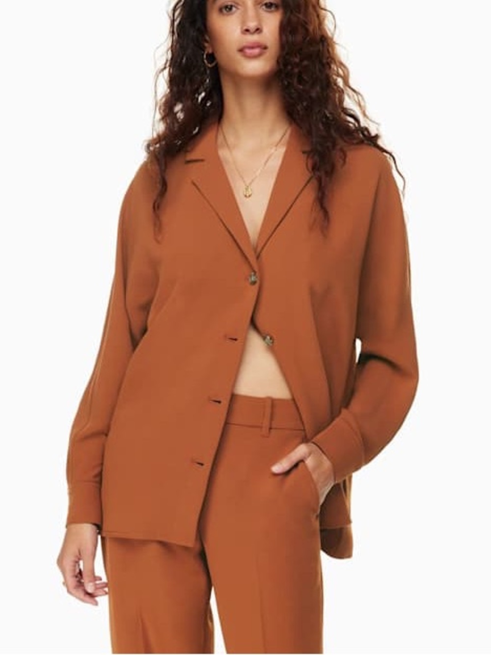 LN Aritzia Wilfred Freeform Button Down Oversized Shirt in Anise Brown - S